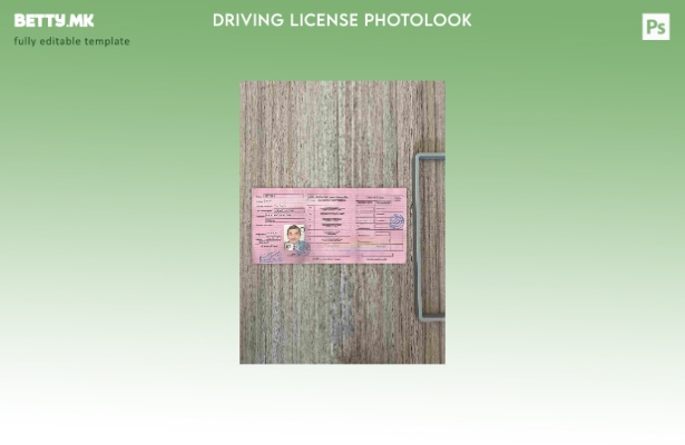 Модерен стилски шаблон Mali DL photolook